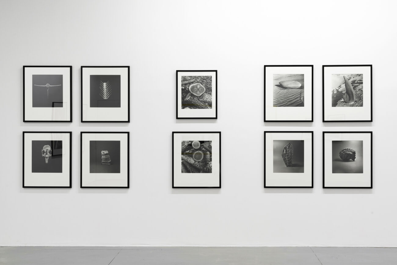 Charlotte Perriand. Avant-Garde is Woman, installation view, M77 Gallery, Milan.  © Archives Charlotte Perriand. Photo Lorenzo Palmieri