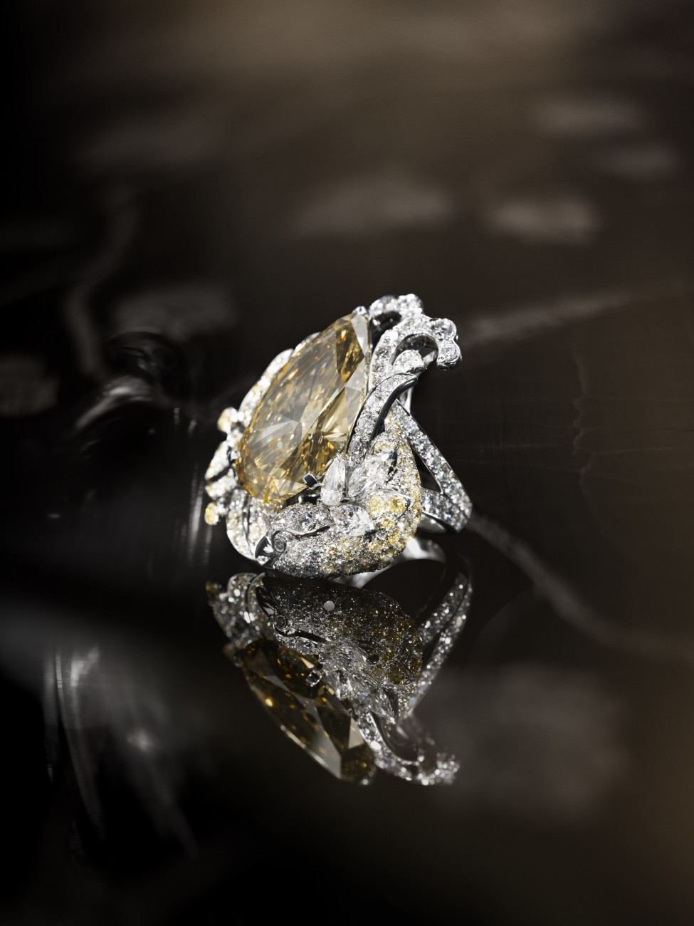 Coromandel Collection_CHANEL Fine Jewelry_Precieux_Envol_yellow