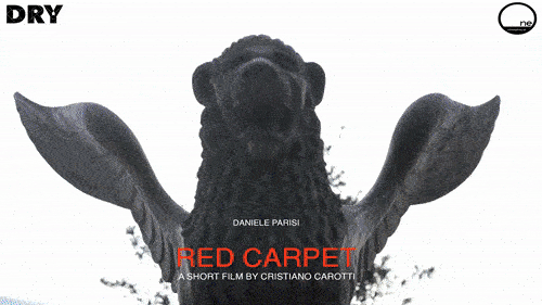 Red Carpet by Cristiano Carotti episode III 3