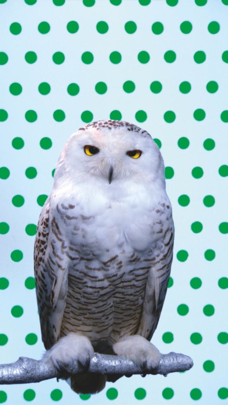 Robert Wilson, KOOL, Snowy Owl - Green 2006 RW WorkRobert Wilson, KOOL, Snowy Owl - Green 2006 RW Work