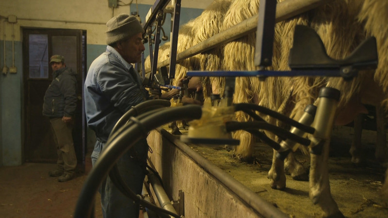 Lorello e Brunello, by Jacopo Quadri, Documentary, Italy 2017 Vivo Film Ubulibri