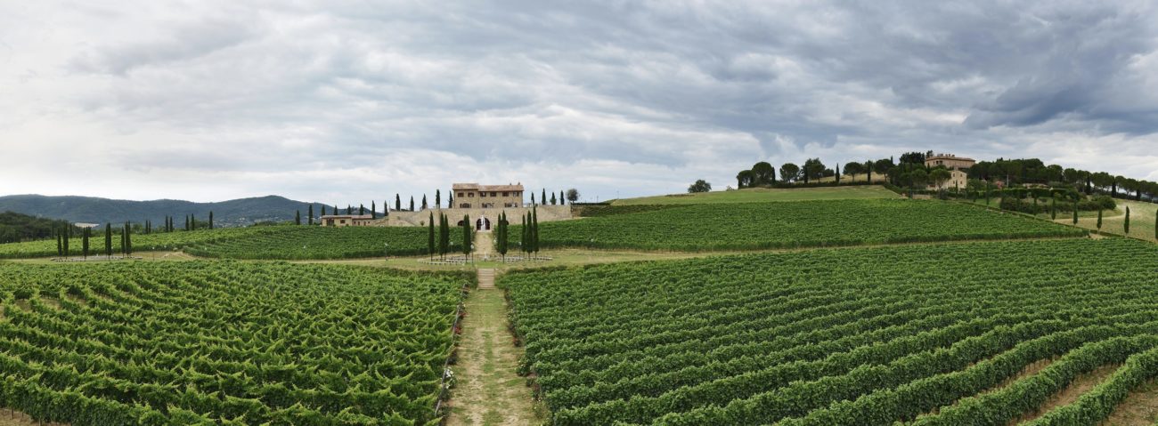 Brunello Cucinelli, Solomeo, Spiritual Forest, vineyard, Progetto per la Bellezza, Courtesy by Brunello Cucinelli