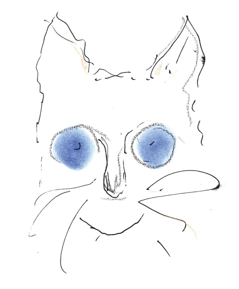 Choupetter-by-Karl-Lagerfeld for DRY
