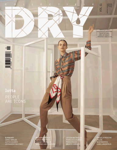 Collectible DRY Issue 11