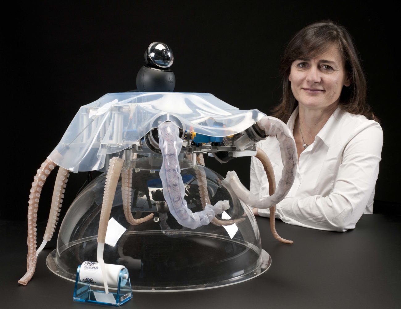 Cecilia Laschi (Associate Professor of Biomedical Engineering at Scuola Superiore Sant'Anna Educational Institute, Pisa, Italy one of the Project Octopus scientists. The life-like Octobot can sense, squeeze and grab objects - just like a real octopus the robot's abilities mean it could be used to repair underwater structures like oil pipelines - or even perform marine search and rescue. Studio portrait with Octobot against black background.
