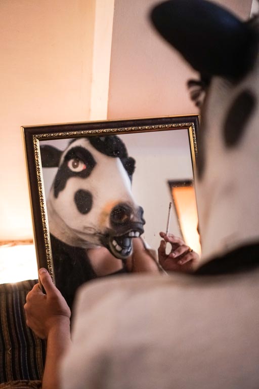 Cow Mask, Photo Sujatro Ghosh