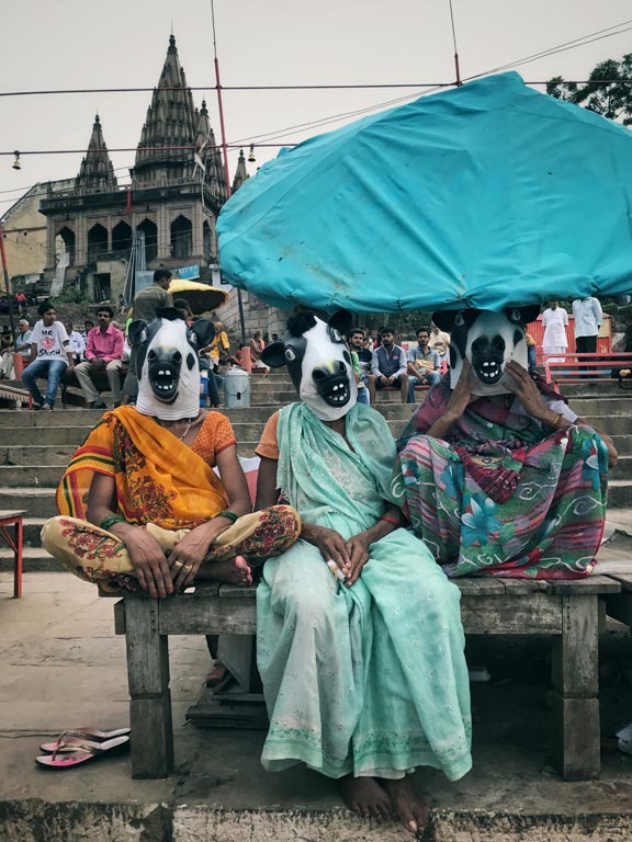 Cow Mask, Photo Sujatro Ghosh