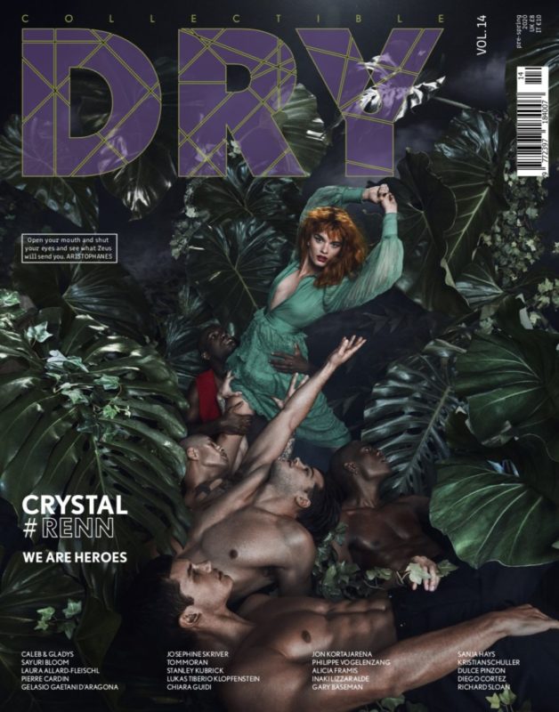 Collectible DRY Issue 14 Cover We Are Heroes Crystal Renn