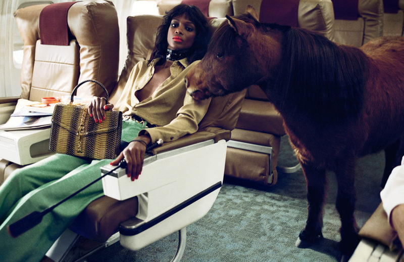 Of Course a Horse_Gucci_SS 20 Campaign_Alessandro Michele_Yorgos Lanthimos