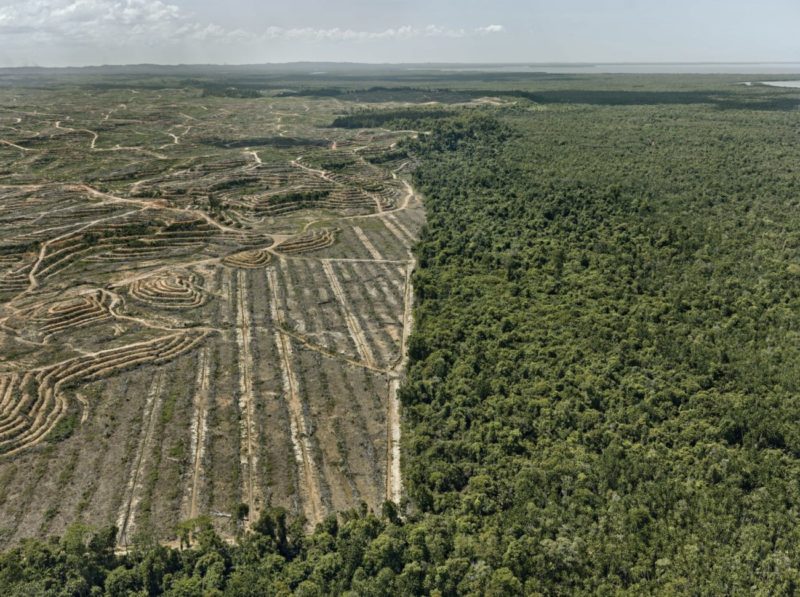 Anthropocene_Photo by Edward Burtynsky_Clearcut #1, Palm Oil Plantation, Borneo, Malaysia 2016_Courtesy Admira Photography, Milan / Nicholas Metivier Gallery, Toronto