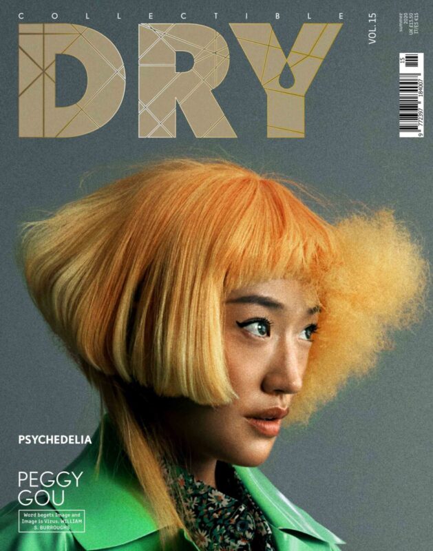 Collectible DRY Vol. 15 Cover Peggy Gou