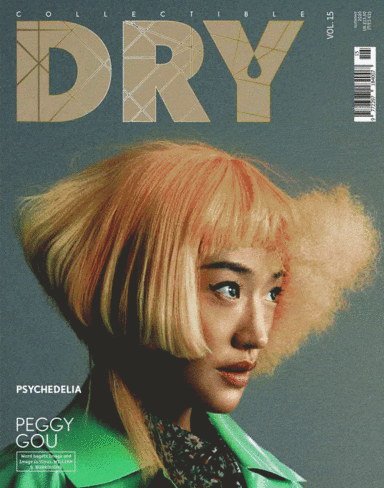 Collectible DRY issue 15 covers gif