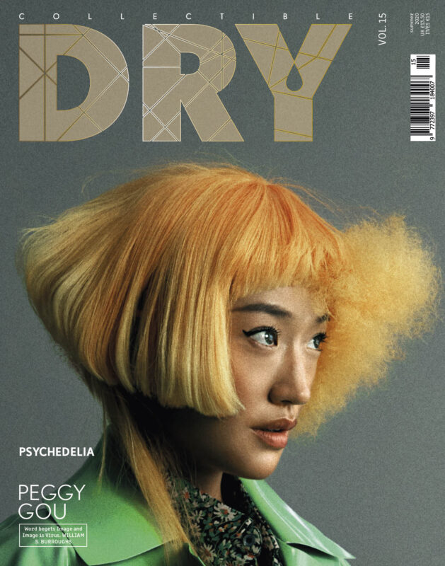 Collectible DRY Vol. 15 presents the psychedelic side(s) of Peggy Gou
