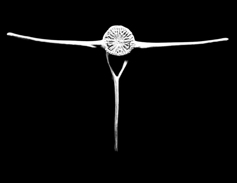 Charlotte Perriand, Fish vertebra, 1933, © Archives Charlotte Perriand
