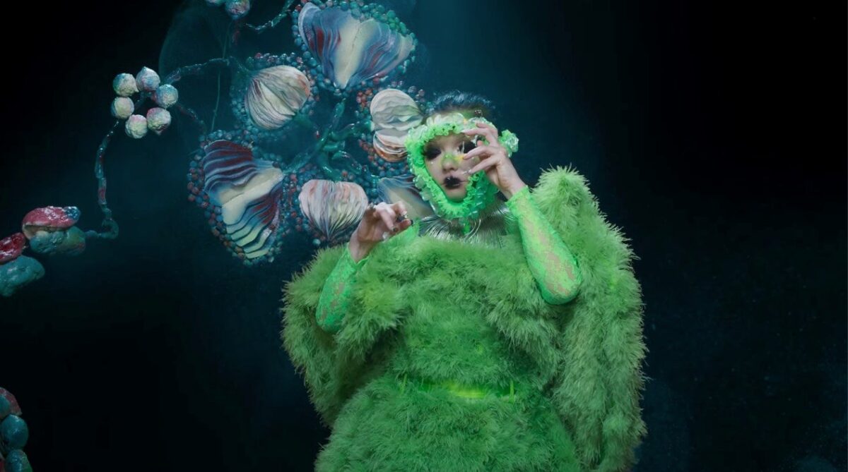 Björk's 10th album; Fossora, out September 30 — Iceland Music